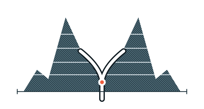 Illustration of a storefront, valley road, and handshake for Valley Crossroads Chamber